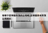 有哪个区块链开发的公司呢[区块链技术开发公司排名]